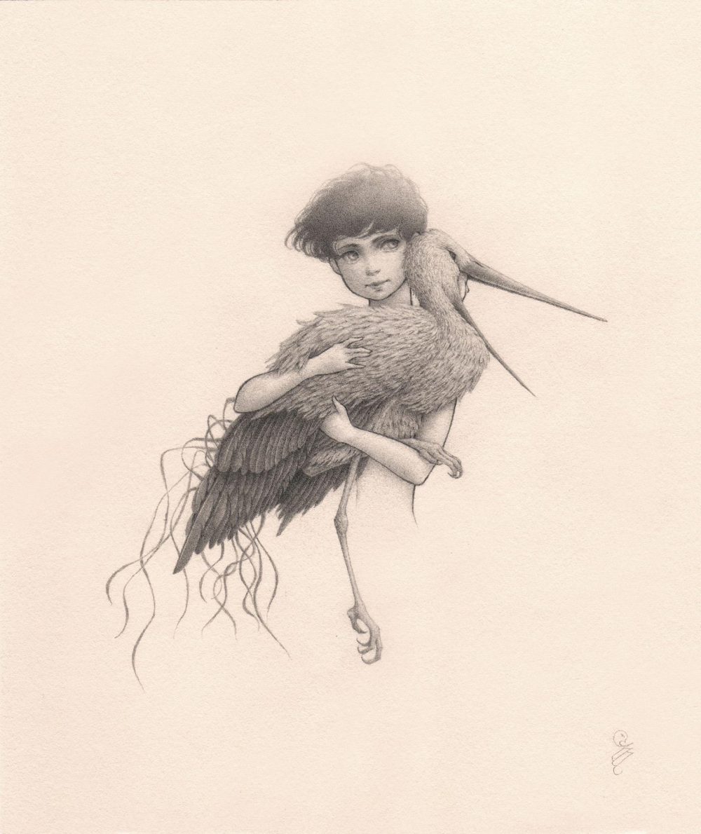 “Ligamen l” original drawing By Nicolás Menay shows a young boy holding a large bird in his arms with the bird going over his left shoulder